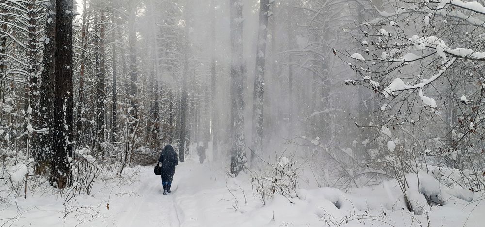 Морозная пыль. (Frost dust)