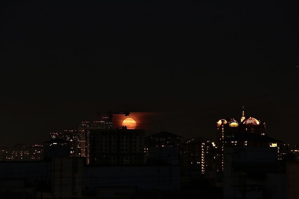 Photograph by Oksana Shchegolkova