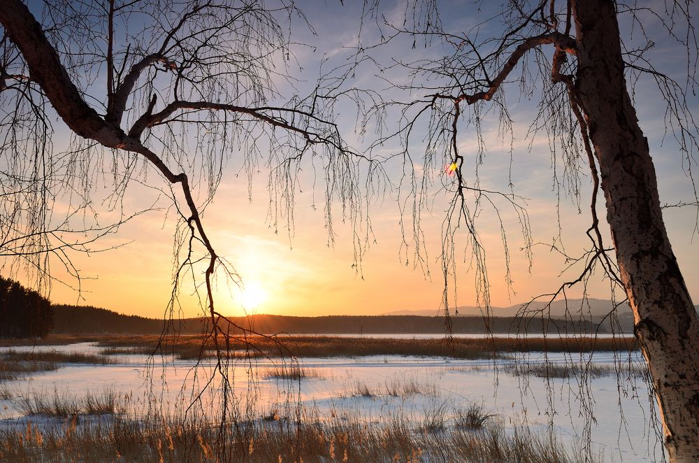 Photograph by Andrey Nekhoroshkov