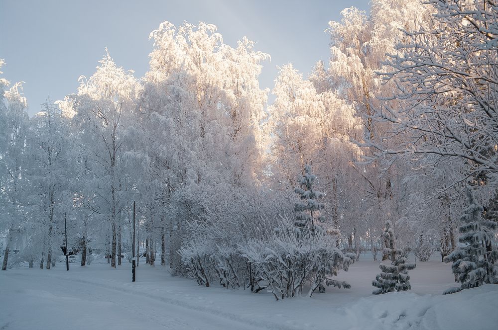 Photograph by Ольга Ситникова
