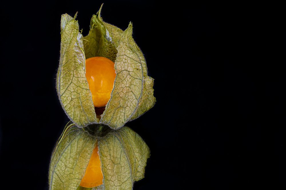 Photograph by Michael Mettier