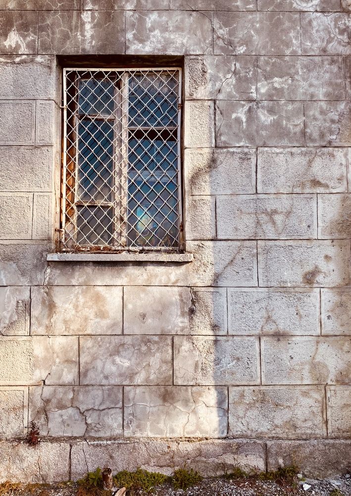 Фотография автора Александр Заикин