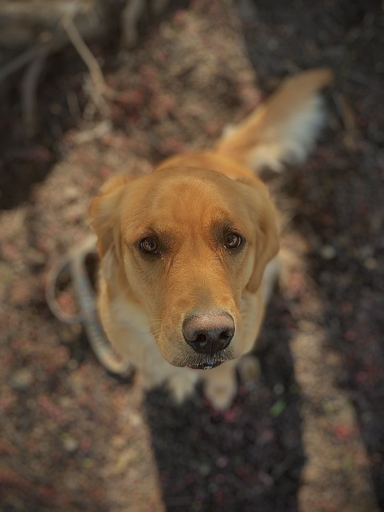 Photograph by Elena Tishenko