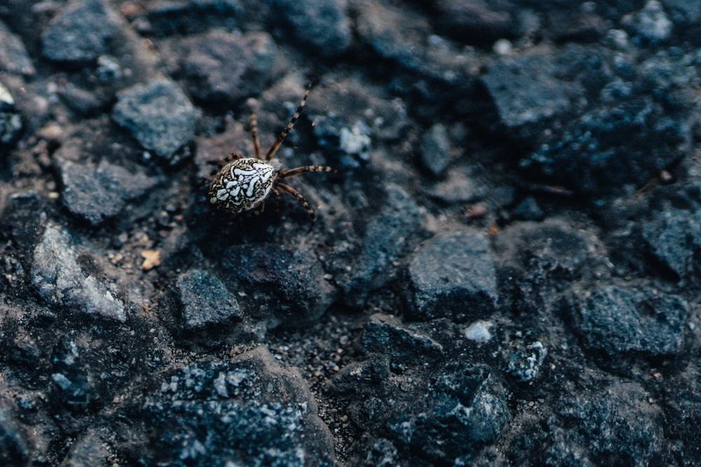 Photograph by Кононенко Владимир