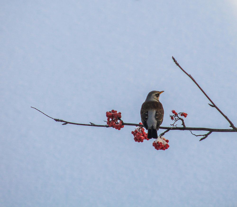 Photograph by Хамитова Светлана