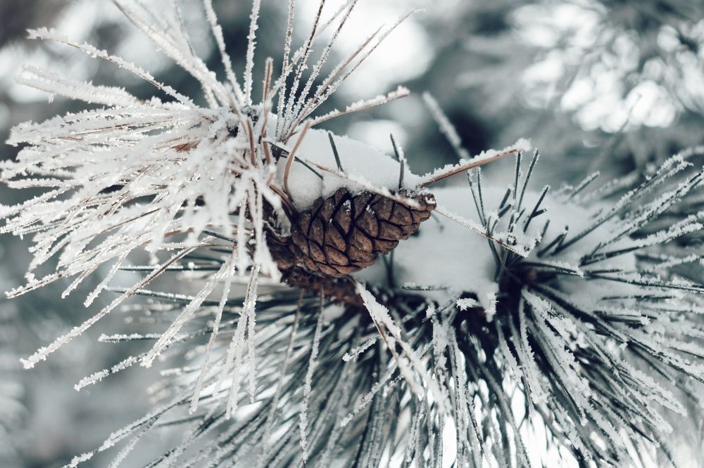 Photograph by Алёна Бондаренко