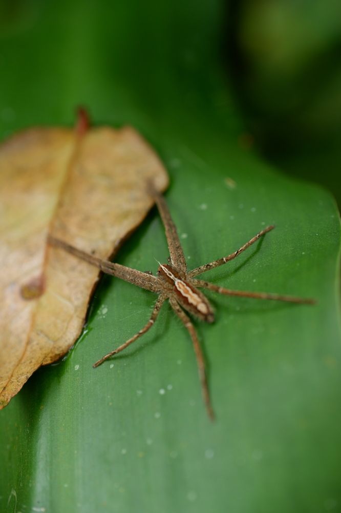 Фотография автора R. Zai