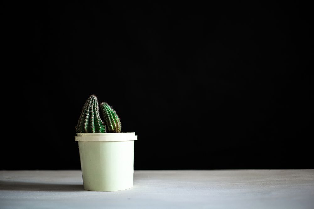 Photograph by Ирина Игнатовец