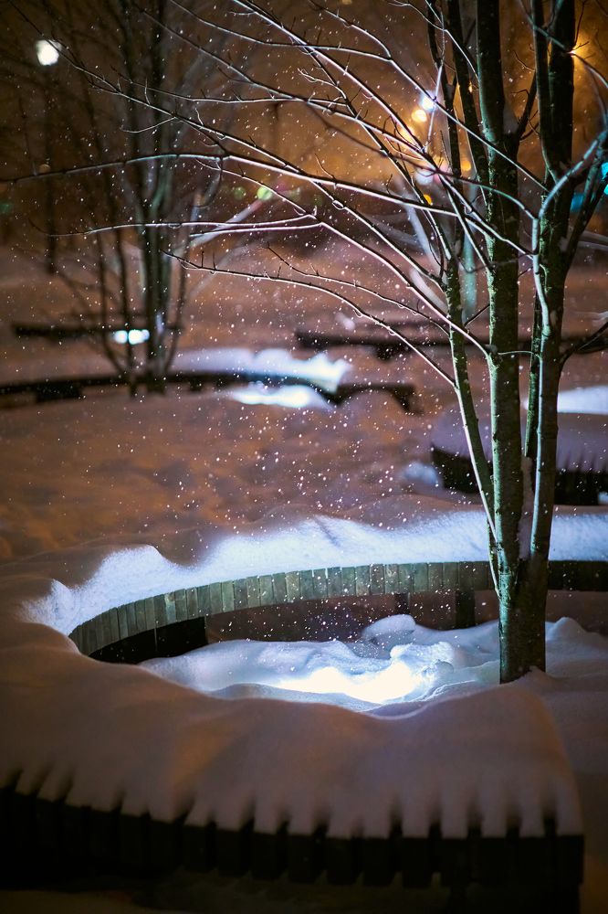 Photograph by Литвинов Николай