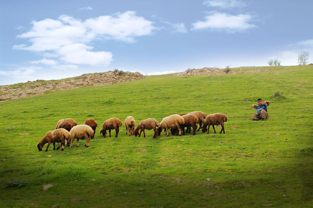 Photograph by Omid Mansourbeygi