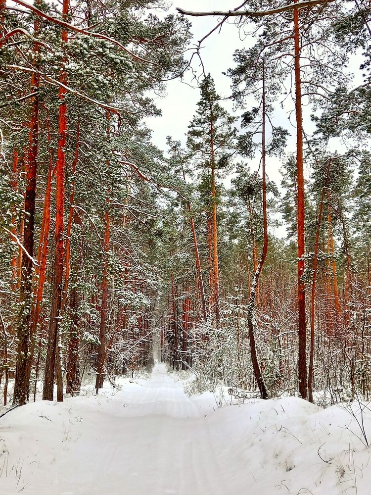 Photograph by Svetlana Yurasova