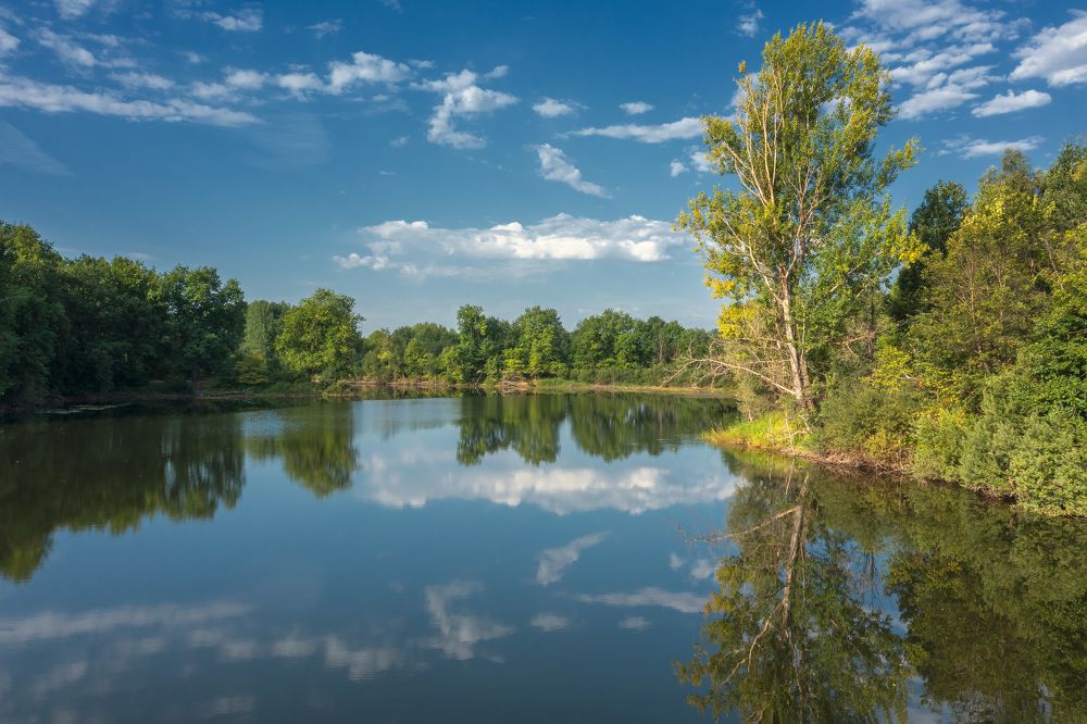 Photograph by Михаил Коханчиков