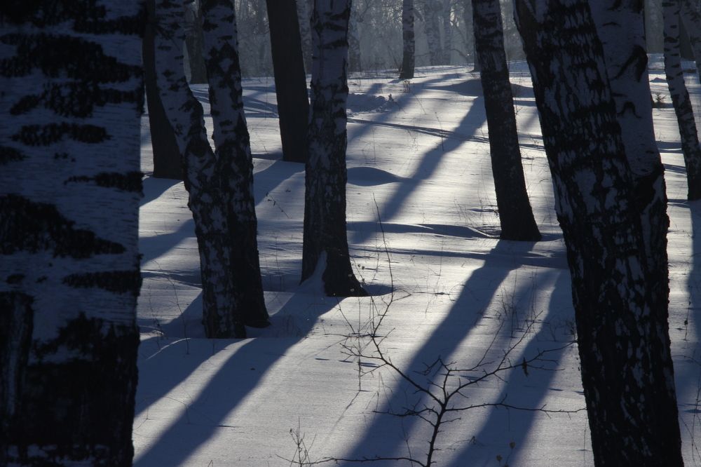 Photograph by Станислав Карнаухов