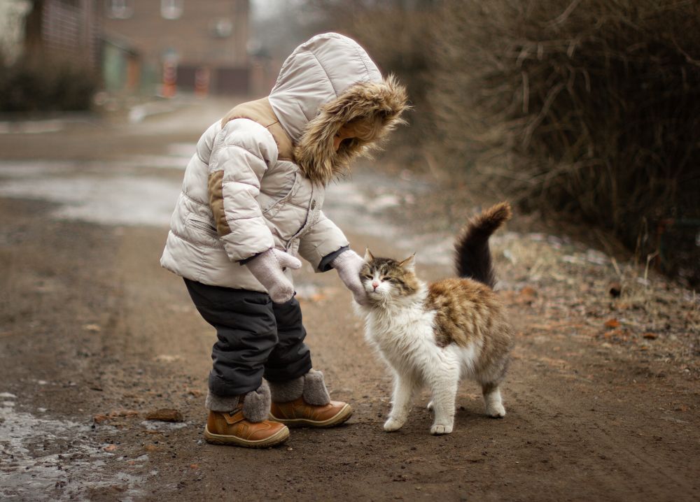 Photograph by Ольга Никишина