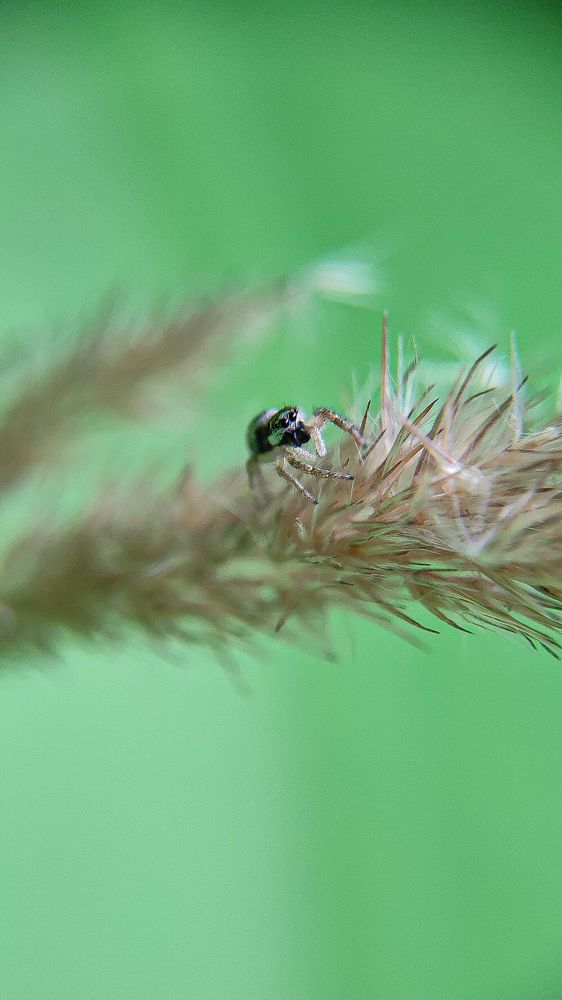 Фотография автора Марина Алексеевская