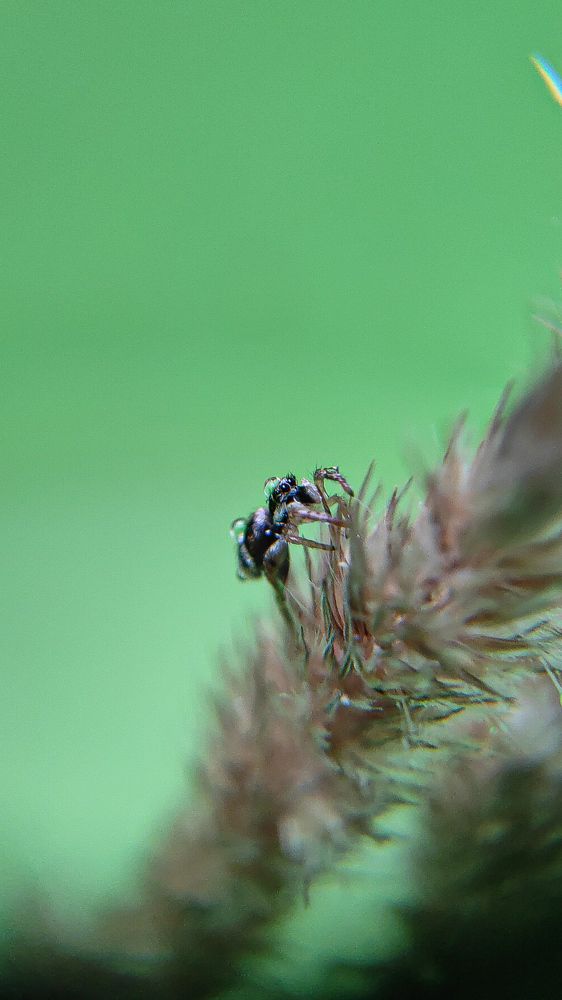Фотография автора Марина Алексеевская