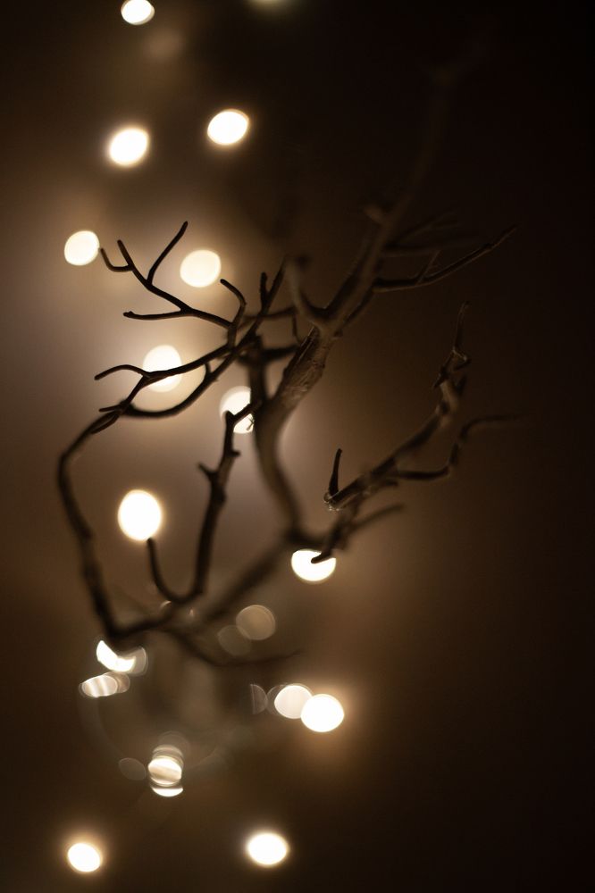 Фотография автора Мария Щеголькова