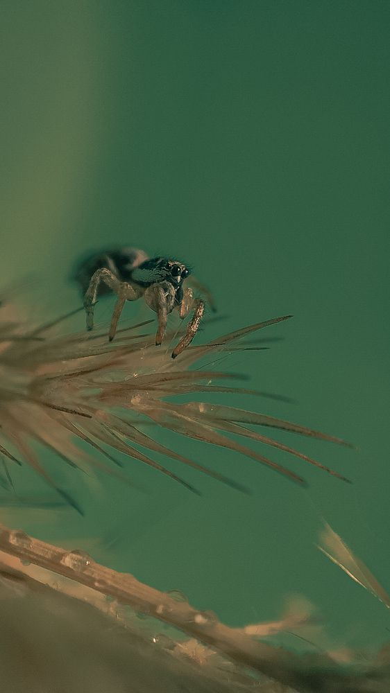 Фотография автора Марина Алексеевская