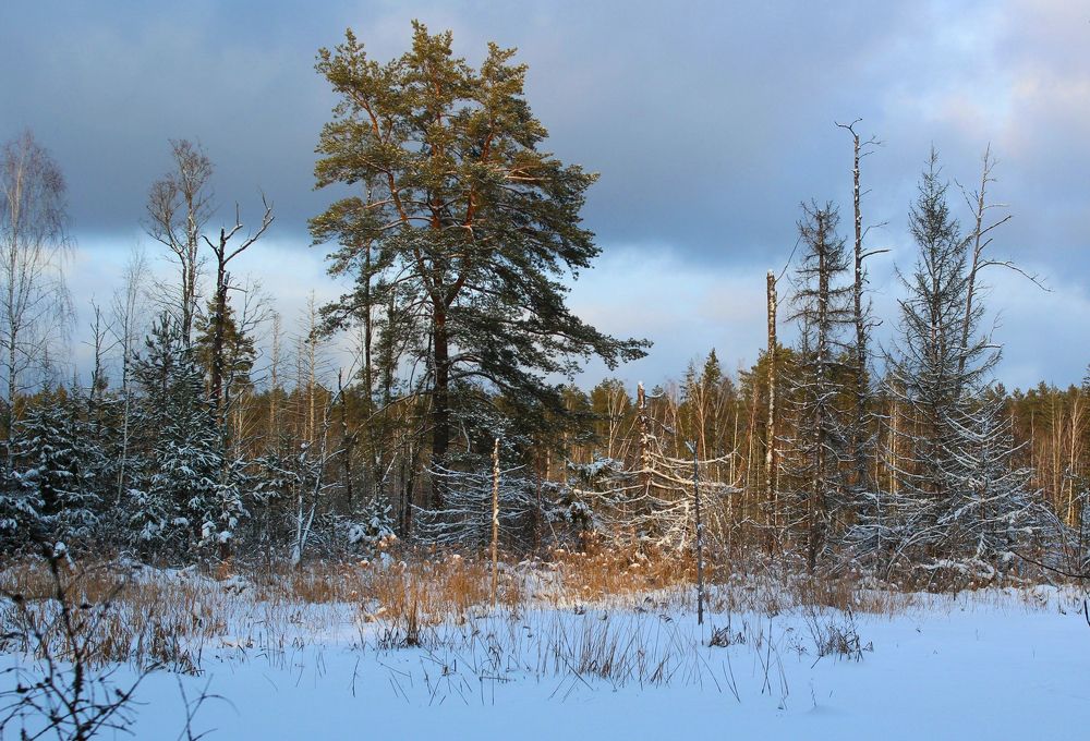 Photograph by Марина Иванникова