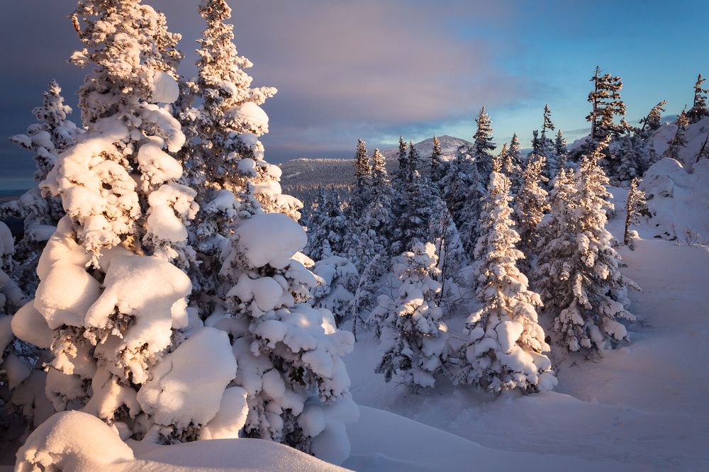 Photograph by Павел Васильев