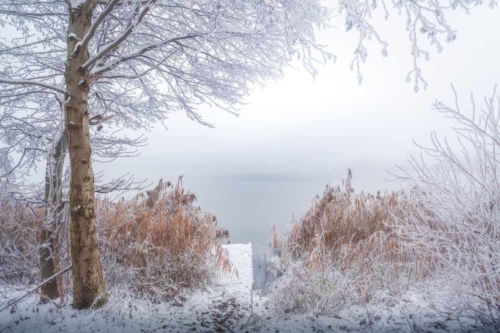 Photograph by Krzysztof