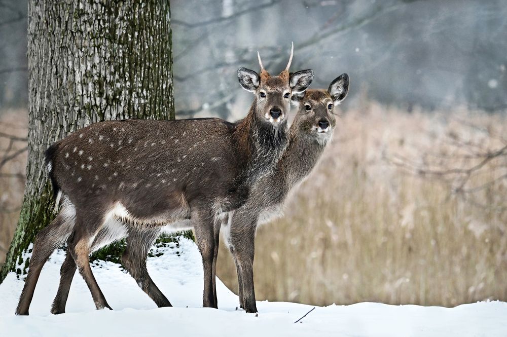 Photograph by Чернобай Анна