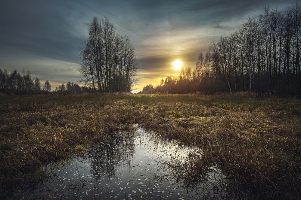 Photograph by Krzysztof