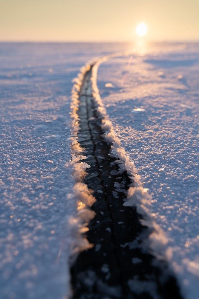 Photograph by Павел Токарев