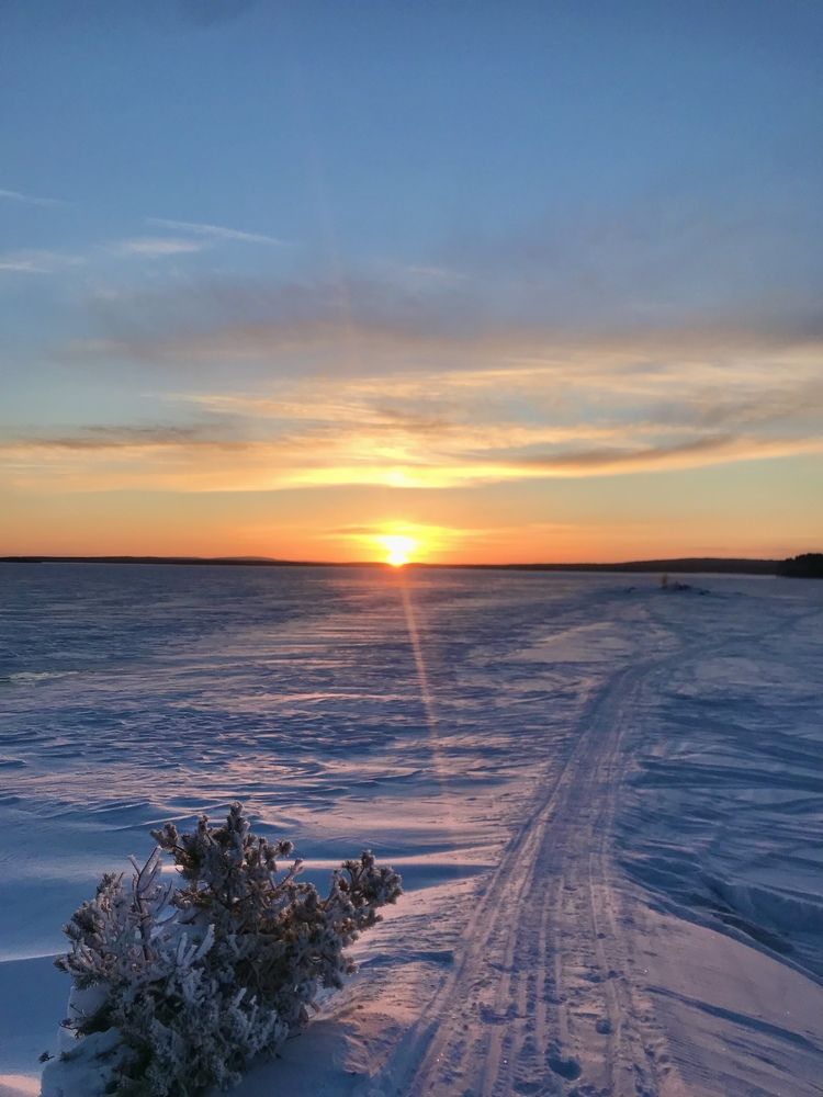 Фотография автора Андрей Золотарев