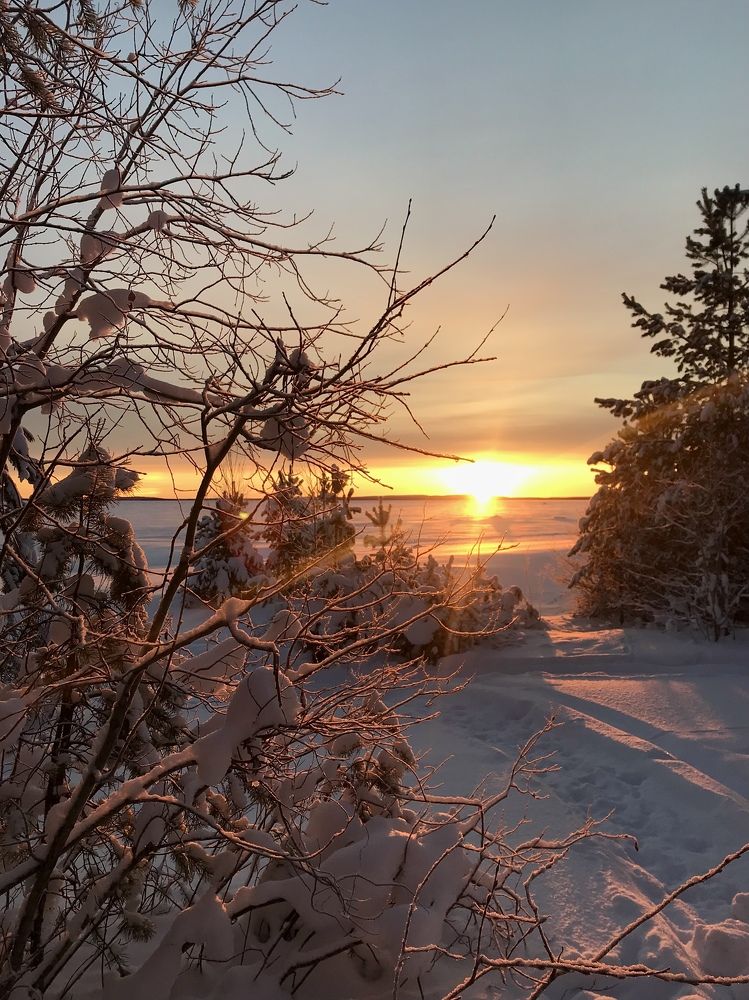 Фотография автора Андрей Золотарев