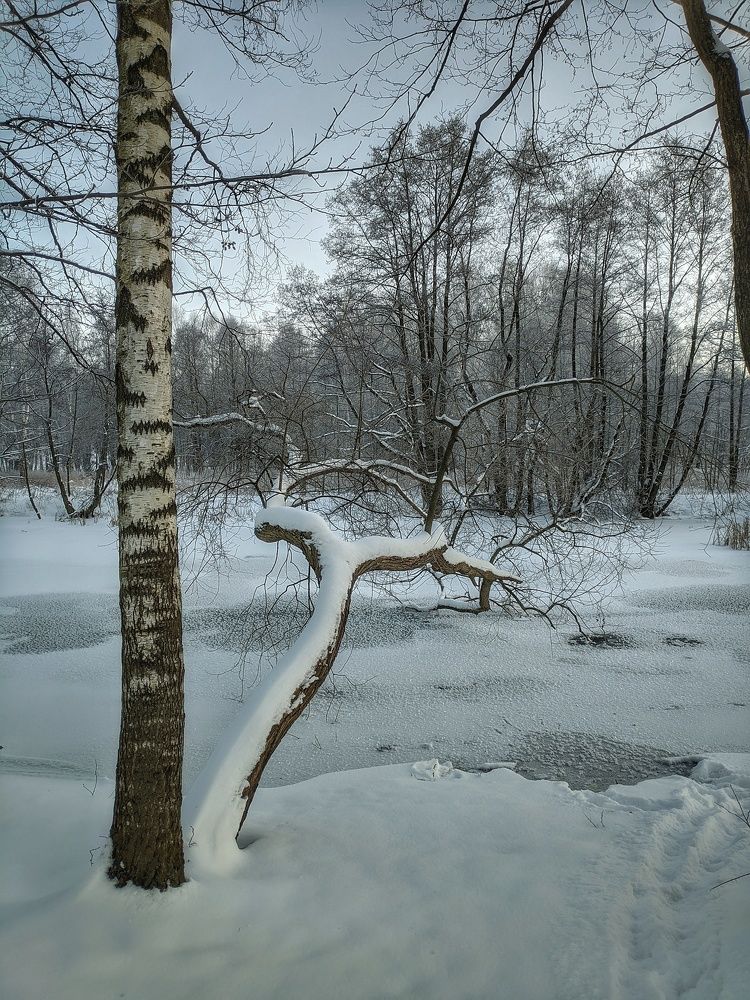 Photograph by Владимир Шаруба