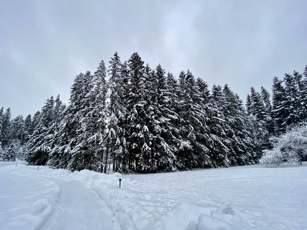 Photograph by Данил Петухов