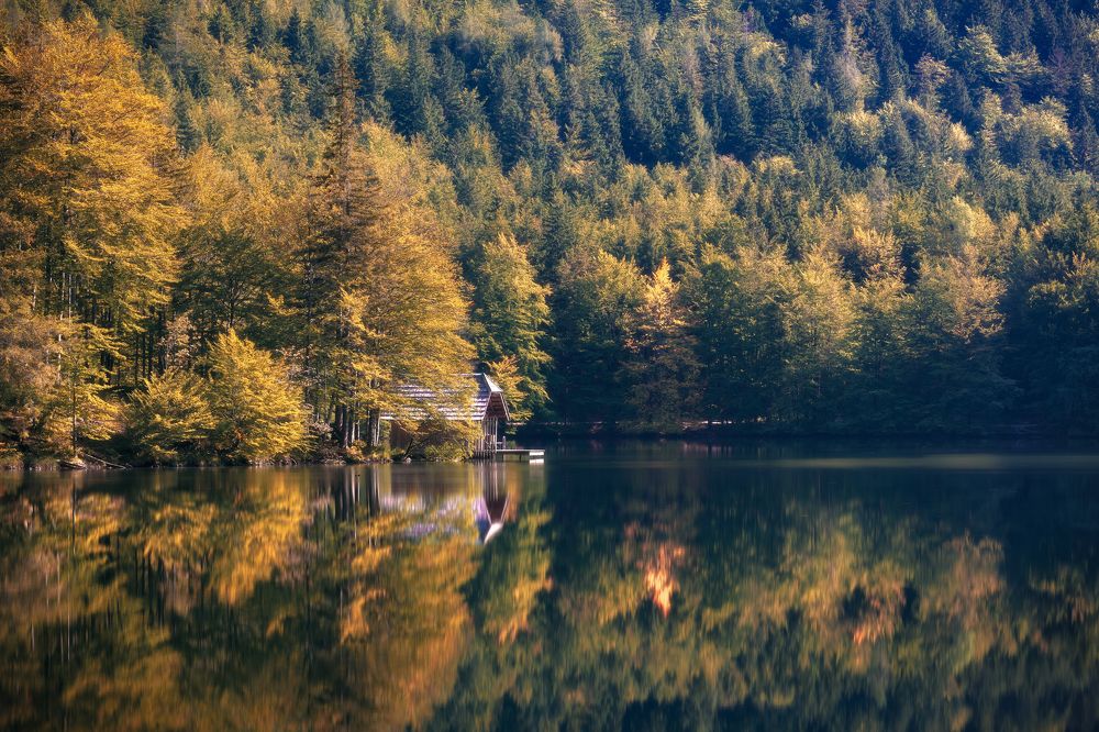 Photograph by Andy Fowlie