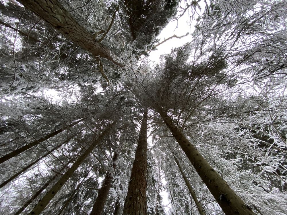 Photograph by Данил Петухов