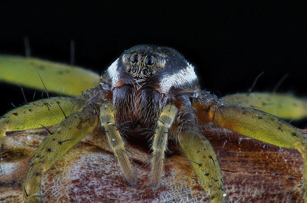 Photograph by Сергей Чупахин