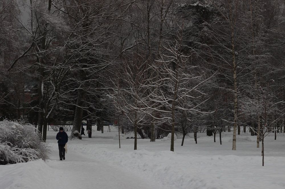 Photograph by Татьяна Юдина