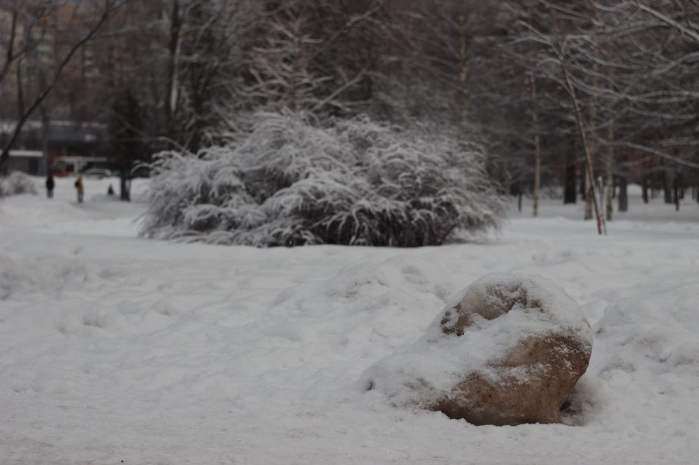 Photograph by Татьяна Юдина