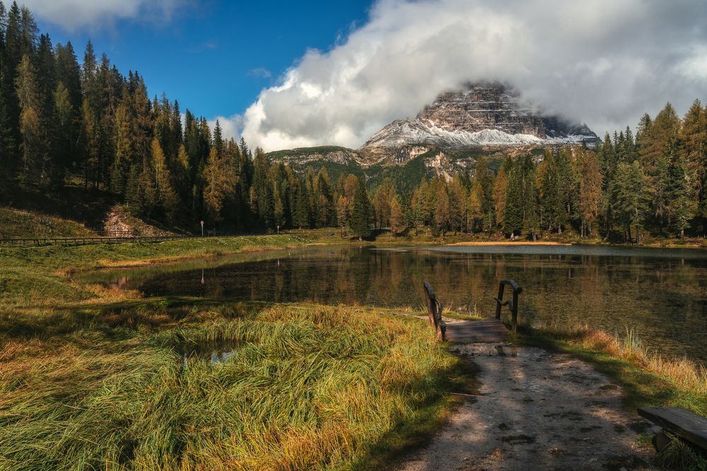 Photograph by Andy Fowlie