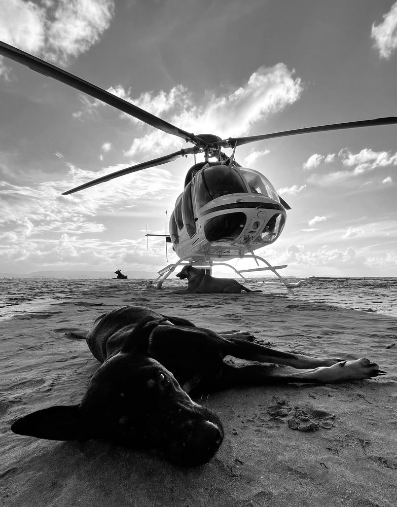 Photograph by Дмитрий Медведев