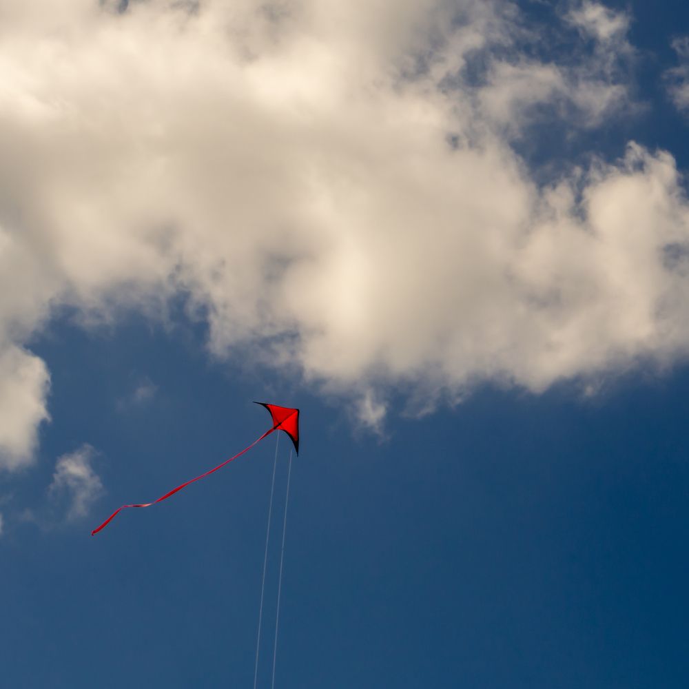 Фотография автора Denes Doma