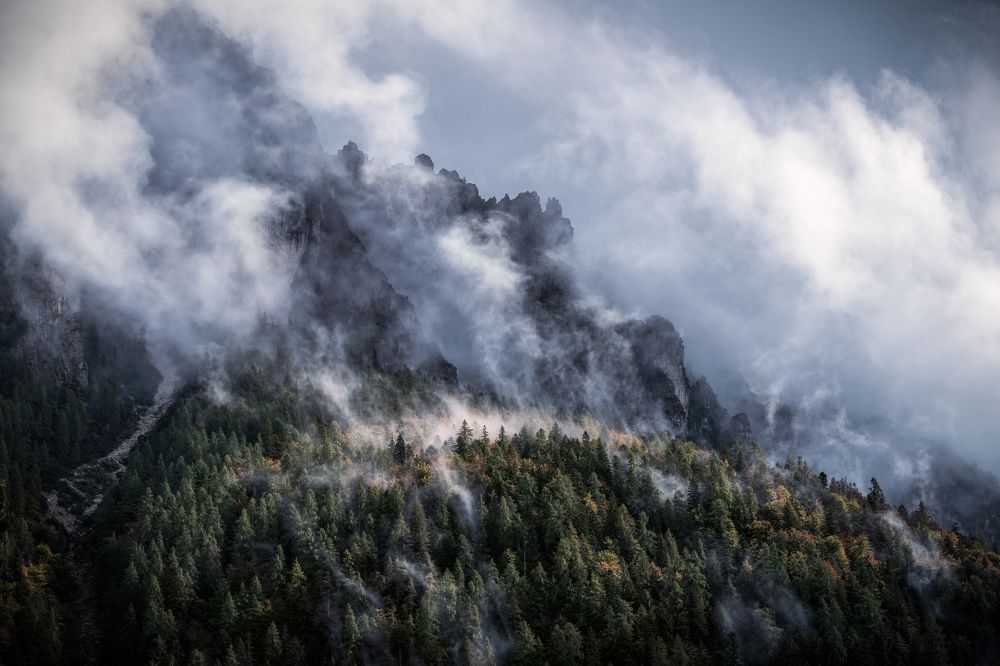 Photograph by Andy Fowlie