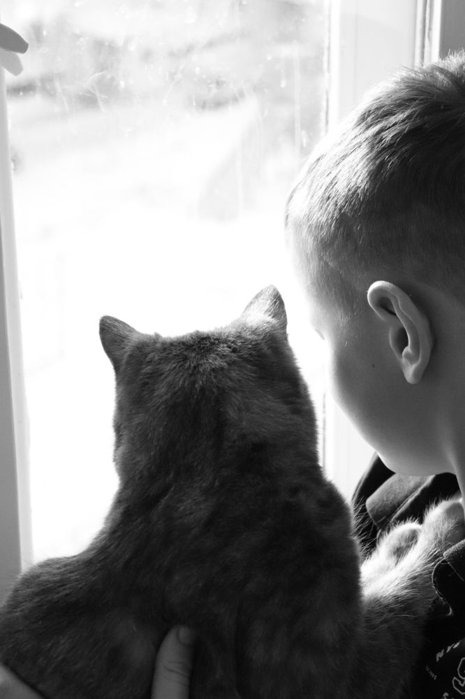 Photograph by Елизавета