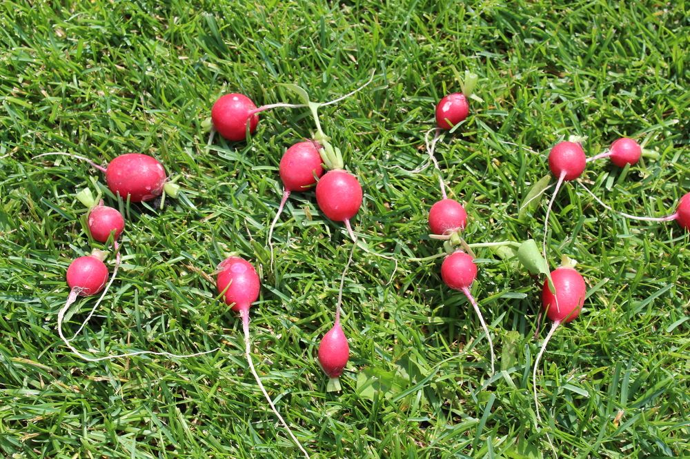 Photograph by Наталия