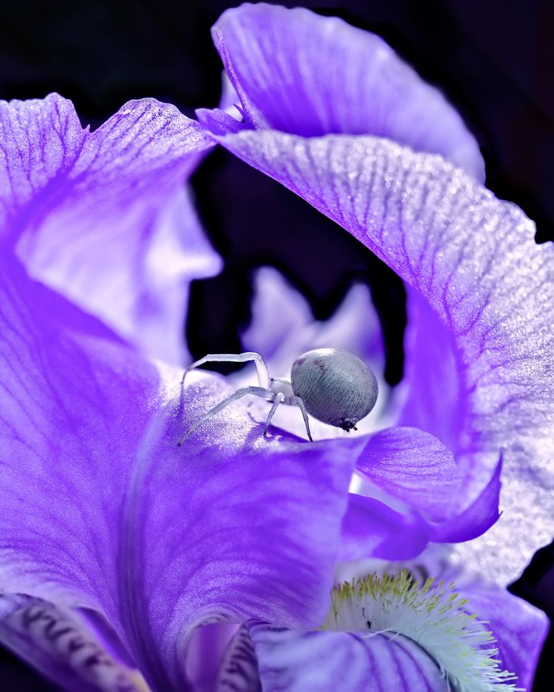 Сёрфинг. На волне.