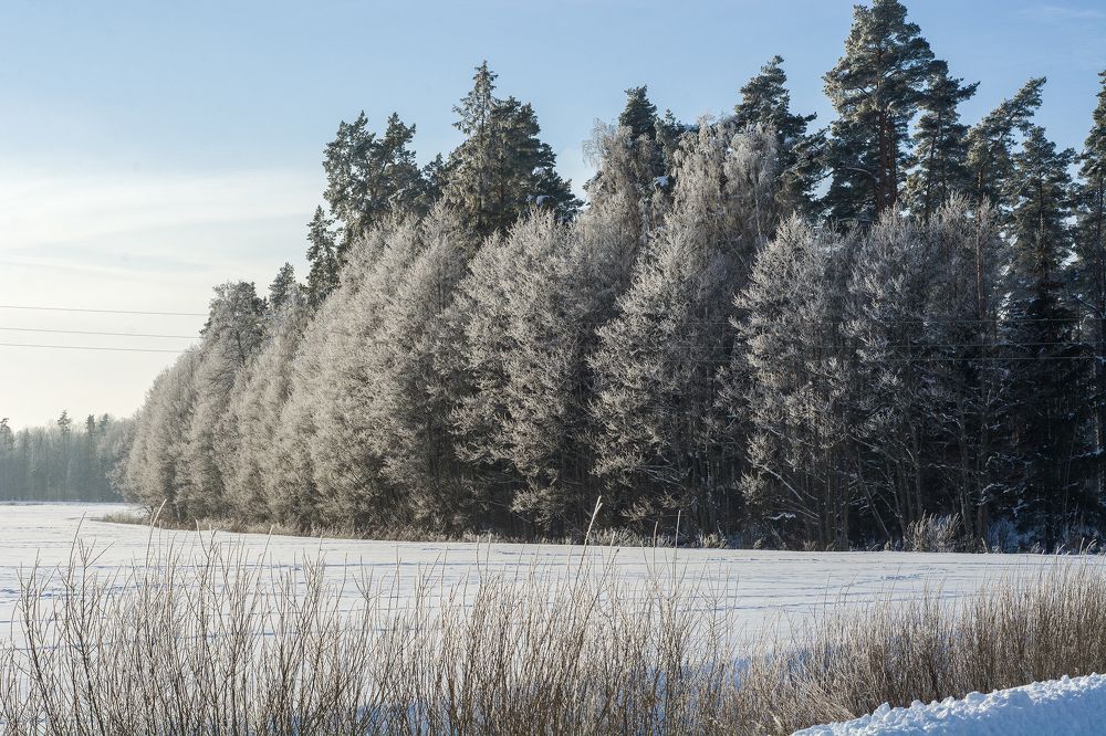 Photograph by Intars Supins