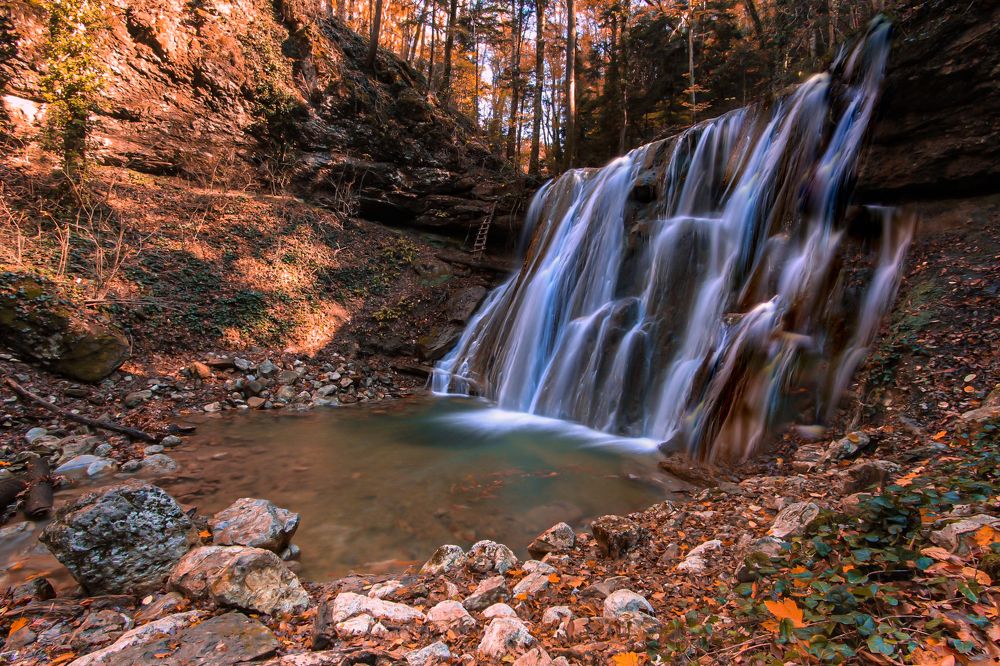 Photograph by Анатолий Шамраев