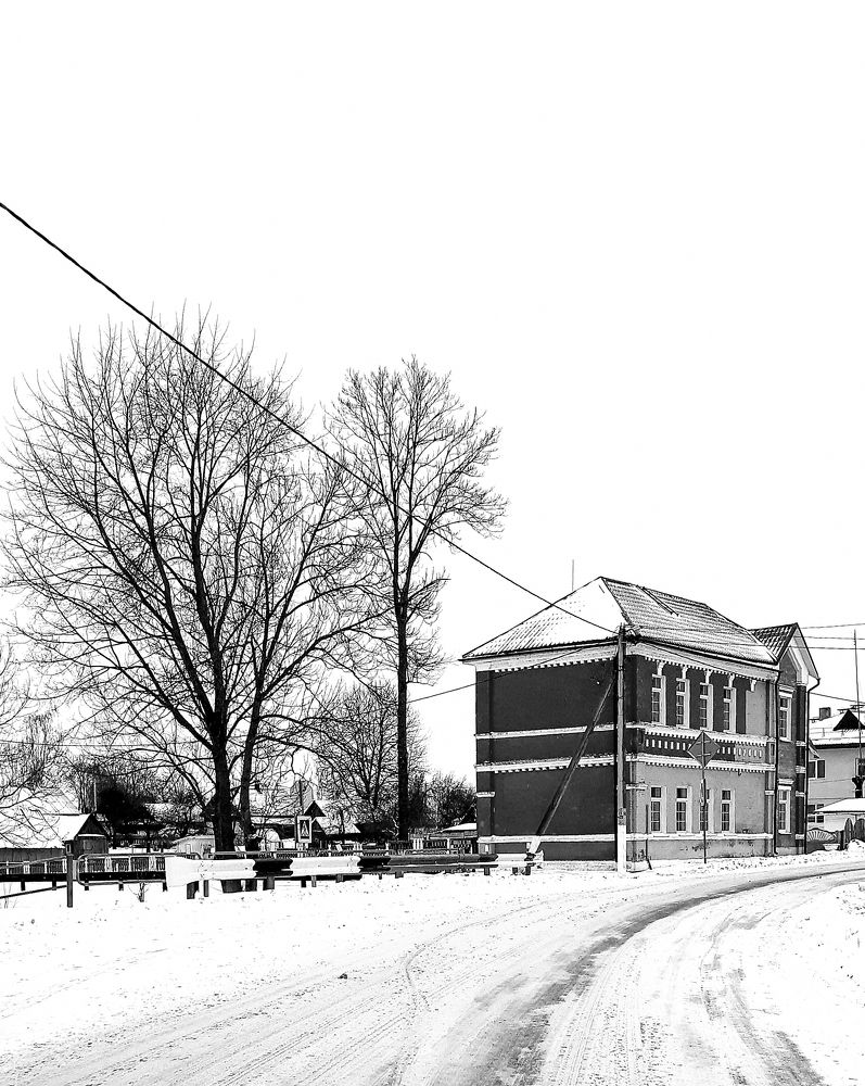 Tree and house near a snowy road