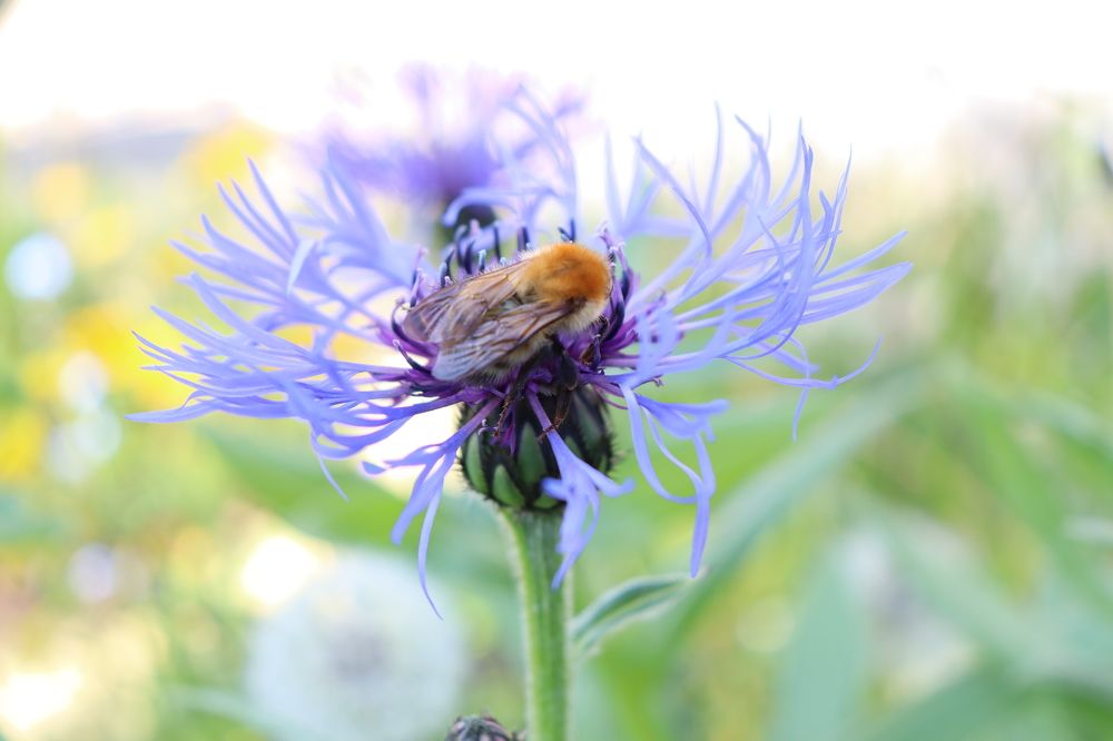 Photograph by Кристина Шигина