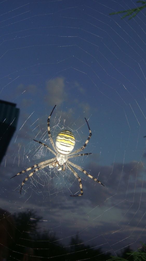 Photograph by Nikita Baranovskii