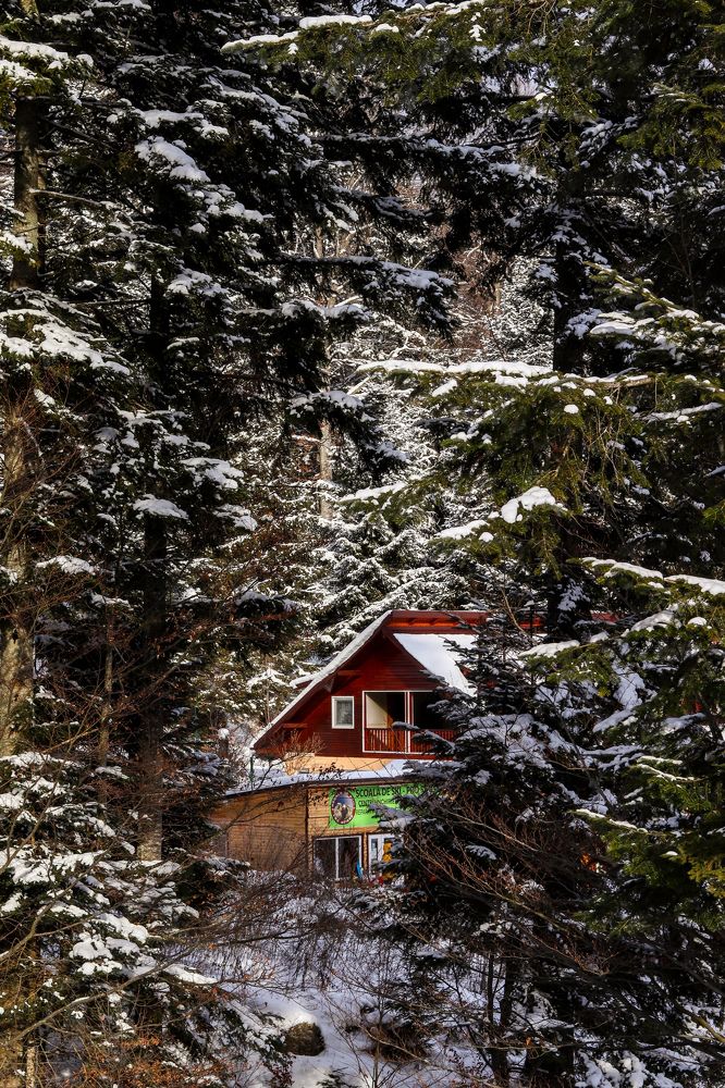 Photograph by Andreea Oancă